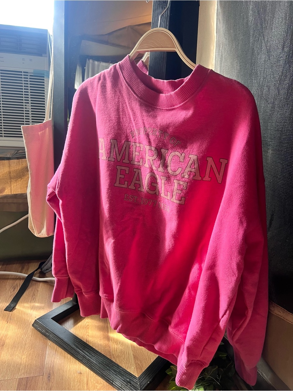 American Eagle Hot Pink Oversized Sweatshirt-